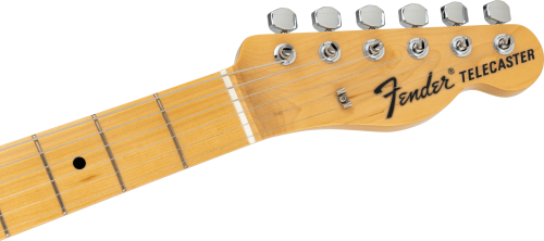 Limited Telecaster Indigo Paisley6